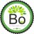 bo_international